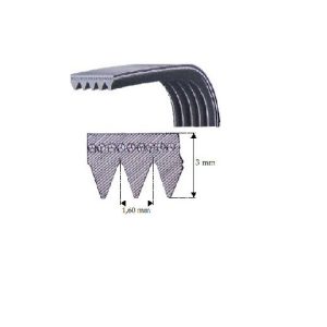 11719228E Correia compativel Maq. Secar 416001300, 416001301