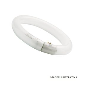 FC22WT12 Lampada circ. sylvania 22w T12 BL368