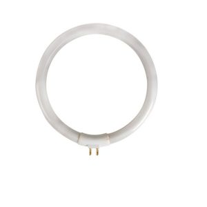 LAMP12/10 Lampada fluorescente circular T4 12w 230v