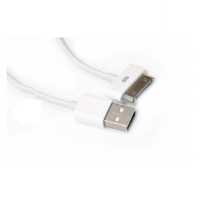 RDP250100 Cabo USB Apple
