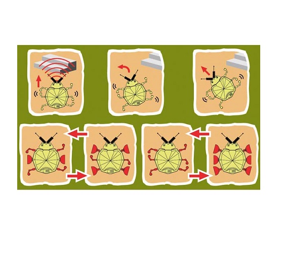 KSR6 KIT VELLEMAN ROBOT JOANINHA - Image 2