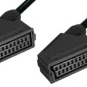 Euro Fêmea Para Euro Fêmea E-Vk1