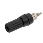 Banana Fêmea Chassis, Preto