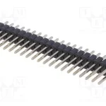 Barra de Pinos, Pinos, Macho, Pin: 40, Simples, 2.