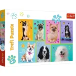 Caderno com Espiral Sam 16421 - A4