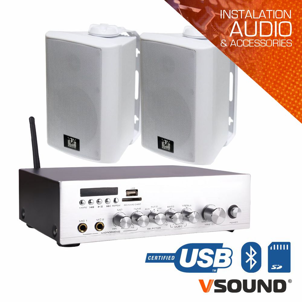 Conjunto Som Amplificado 40W