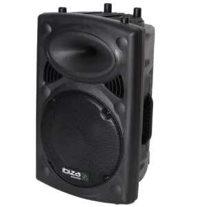 Coluna Profissional 500w 12-30cm