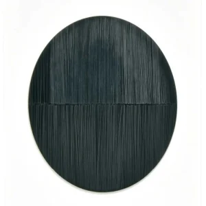 Modulo de Placa de Parede - Abertura com Escova