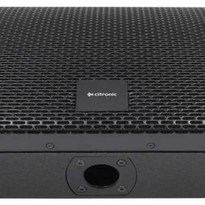 Cm10 Passivo Wedge Orador 250wrms