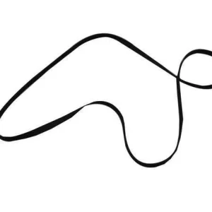 Correia Audio Medidas 203 X 0,8 X 5 Mm