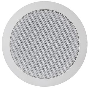 Coluna Tecto 100V 5" 12W