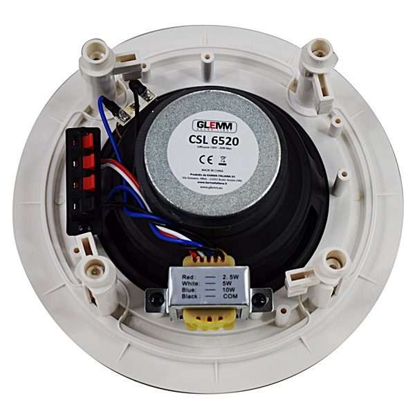 Coluna Tecto 100V 6,5" 20W