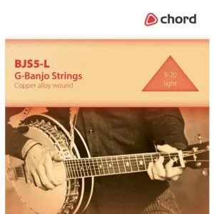 Conjunto de 5 Cordas de Aço Para Um Banjo G.