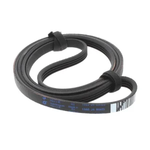 Correia Elástico J4 1265