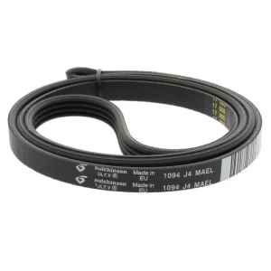 Correia Elástico 1094j4