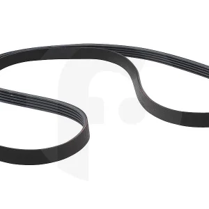 Correa Eureka 1239/J5