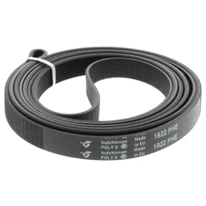 Correa Pv 1922 H8 El