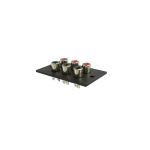 Ficha 3 Rca Femea com Painel