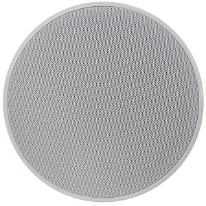 Coluna Tecto 100V 6,5" 20W