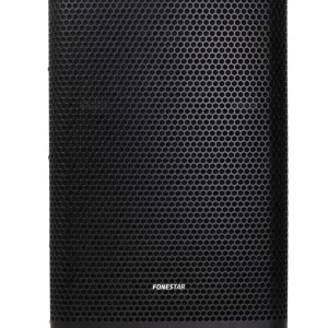 Coluna Activa 12" 600w Maximo