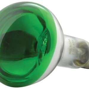 160004 Lampada E27 60w 230vac R80 Verde