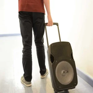 Unidade Pal10 Pa Portátil com Tws e LED Light Show