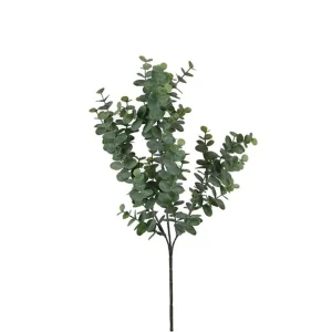 Eucalipto Verde Cor 65 Cm