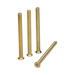 Blíster Parafuso Cilindro Trn16 M5x65mm Ltd Edm