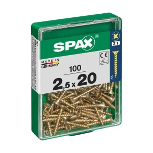 Spax 4081020250202 Parafuso/Porca 20 Mm 100 Unida.