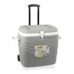 Geleira Rígida Premium 41l  Cinzenta Hidalgo
