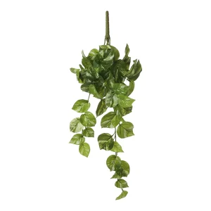 Potos Pendente Cor Verde 14x58x20cm