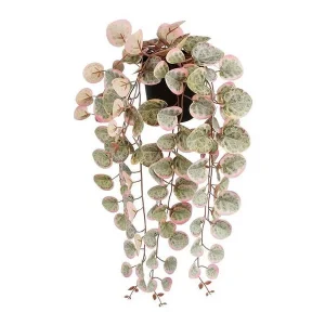 Planta Artificial Pendurar Ceropegia Woodii