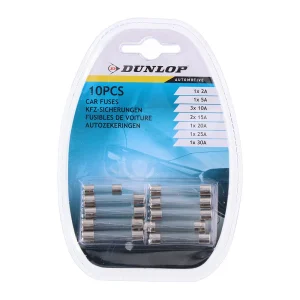 Set de 10 Fusíveis Variados de Vidro para Carro D.