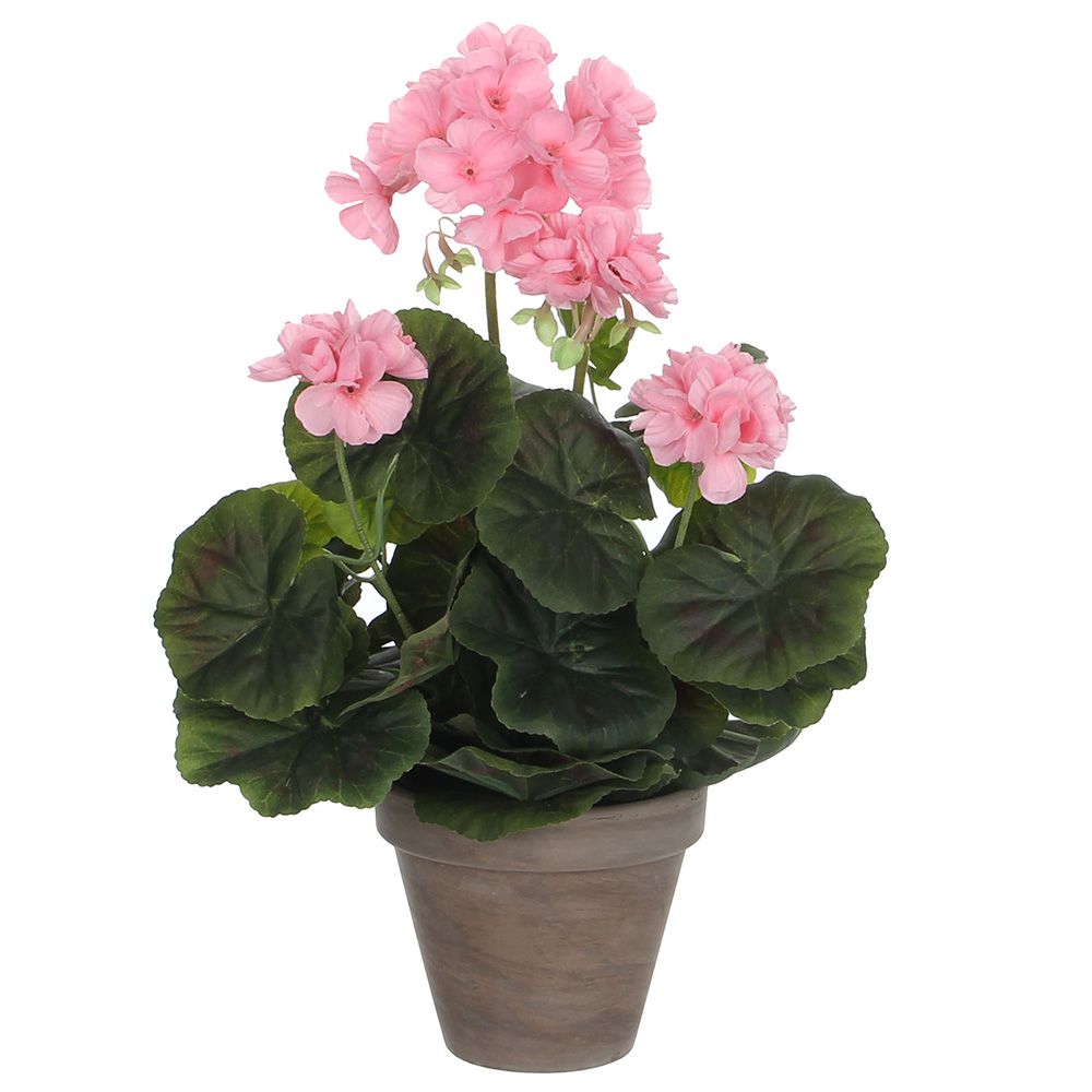 Vaso de gerânio cor rosa, ø11,5 x 33 cm