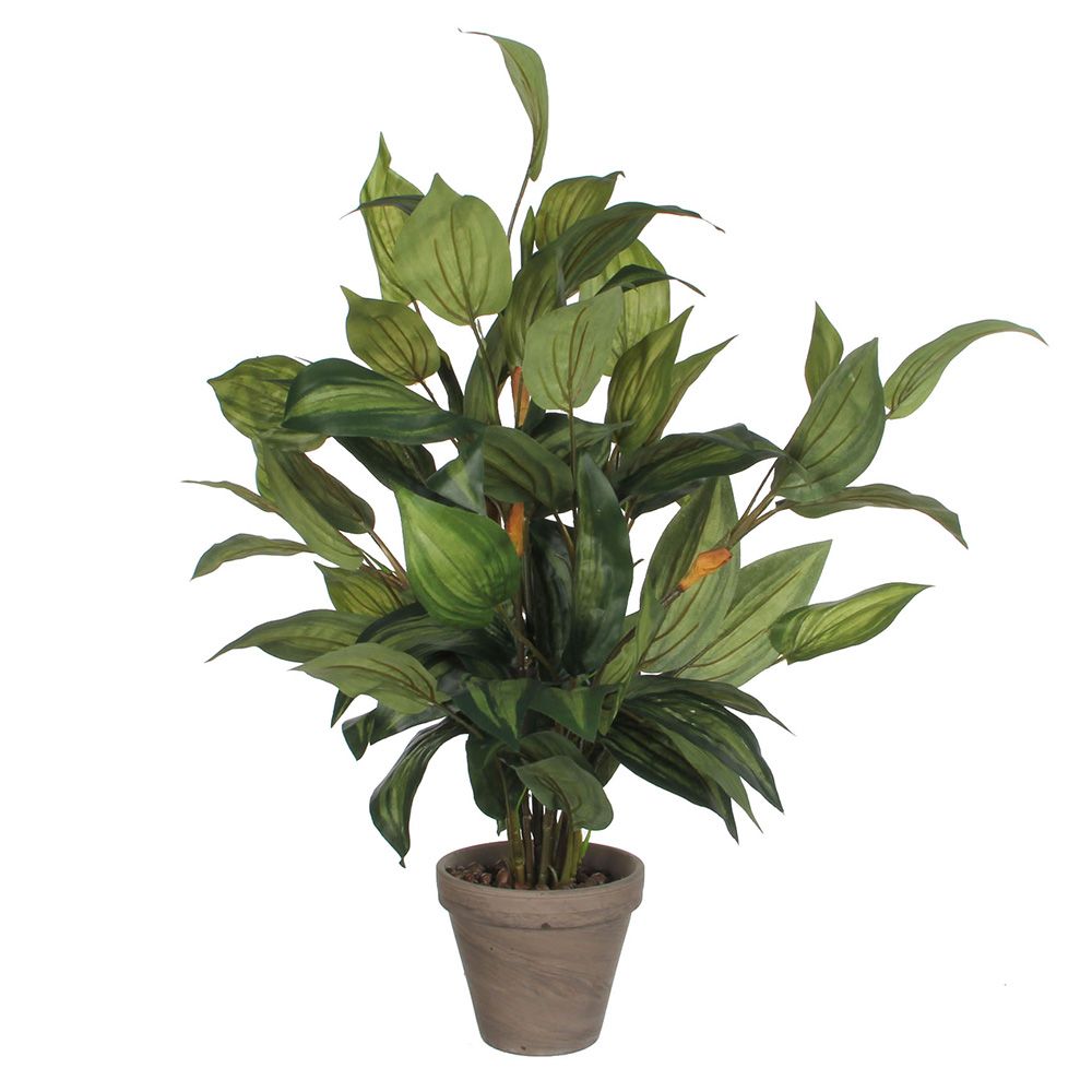 Vaso de hosta verde, 15,5 x 65 cm