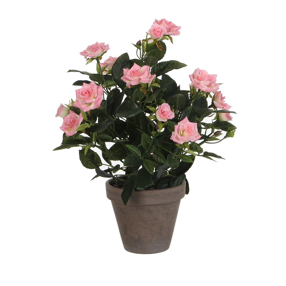 Vaso de roseira rosas, ø11,5 x 33 x 25 cm