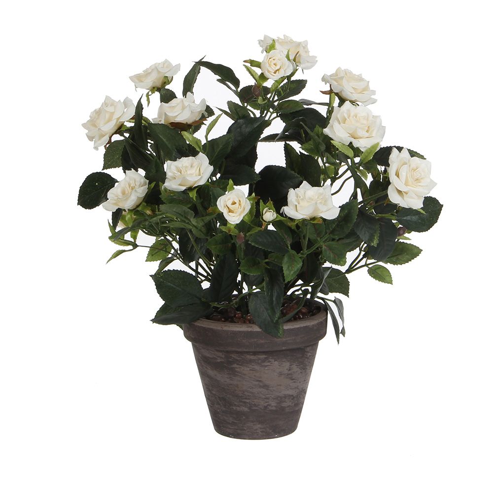 Vaso de roseira branca, ø11,5 x 33 x 25 cm