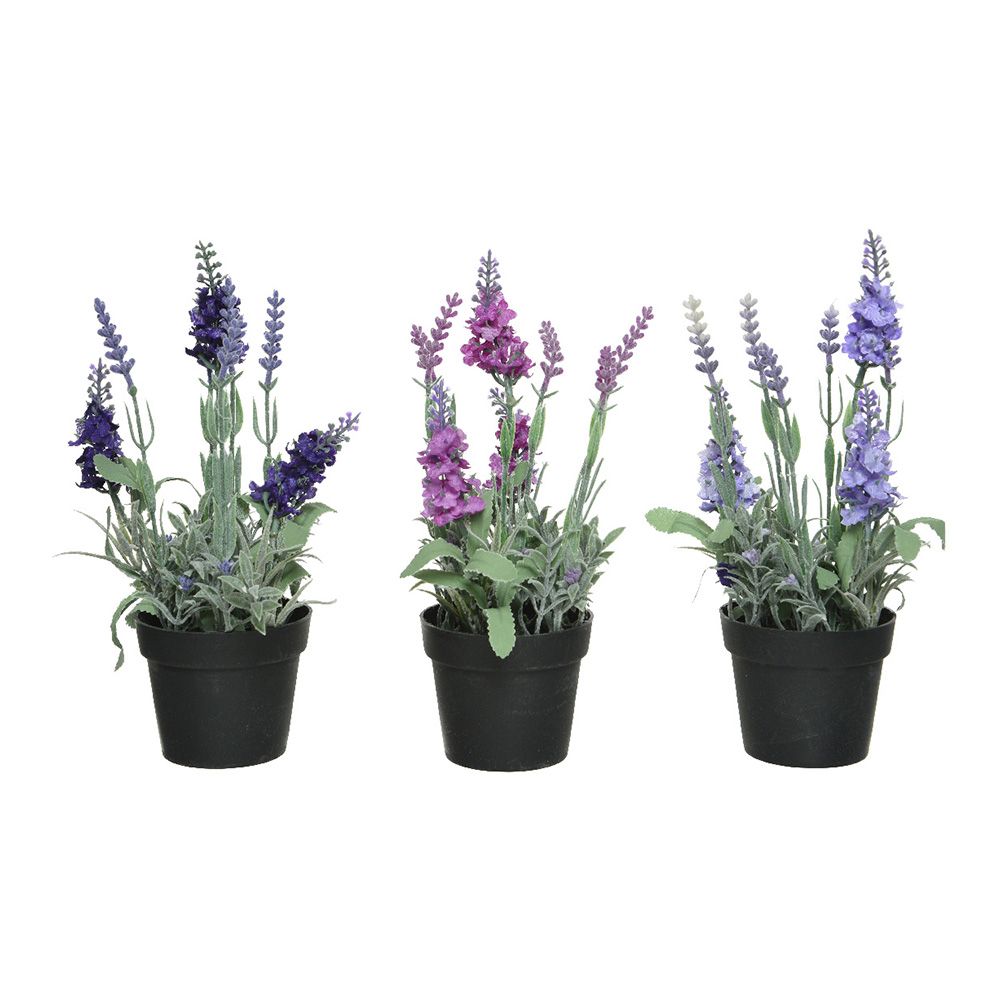 Vaso de lavanda, ø12 x 25 cm, cores sortidas