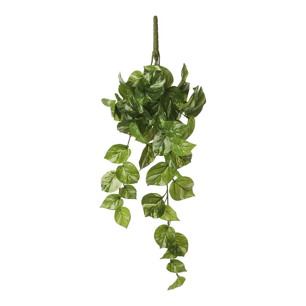 Vaso suspenso de potho verde, 14 x 58 x 20 cm