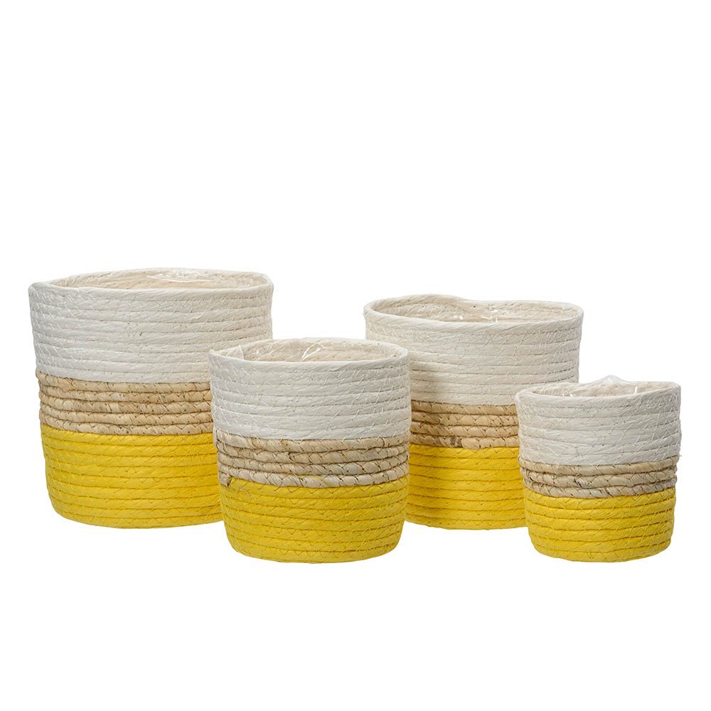 Capa para plantas de papel tricolor com 4 peças