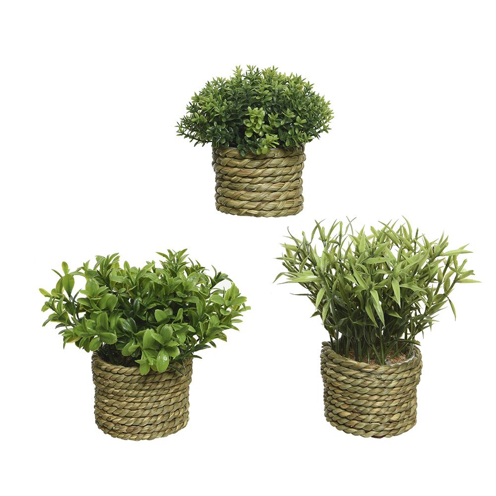 Vaso de planta verde ø16 x 13 cm, modelos variados