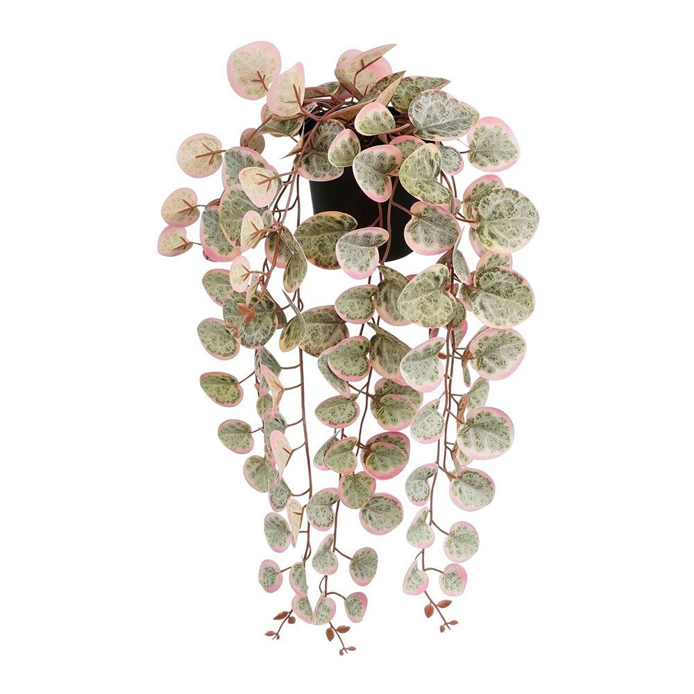Vaso pendurar ceropegia woodii colar de corações rosa, 12 x 10 x 46 cm
