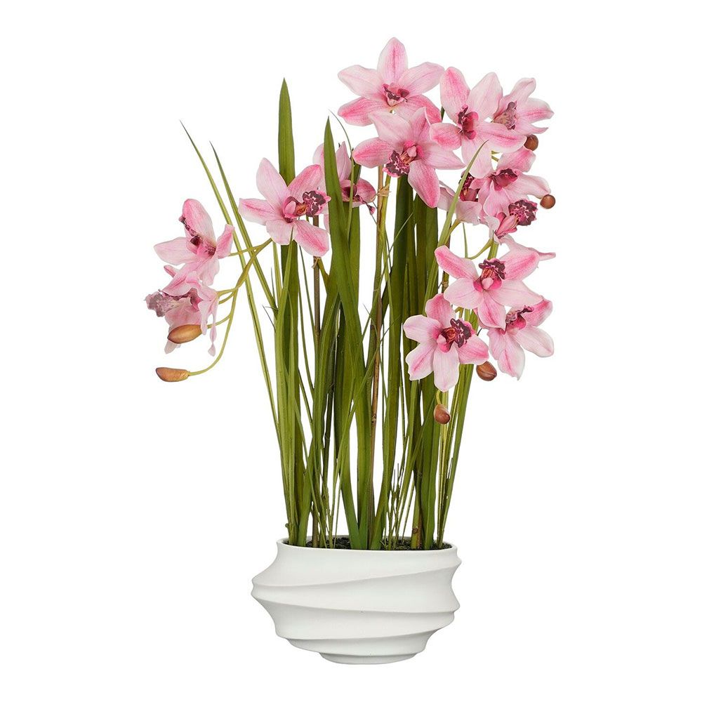 Vaso cymbidium orquídea barco rosa, 40 x 49 x 81 cm