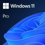 Microsoft Windows 11 Pro 1 Licença(S)