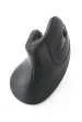 Raton Optico Inalambrico Gembird Ergonomico de 6