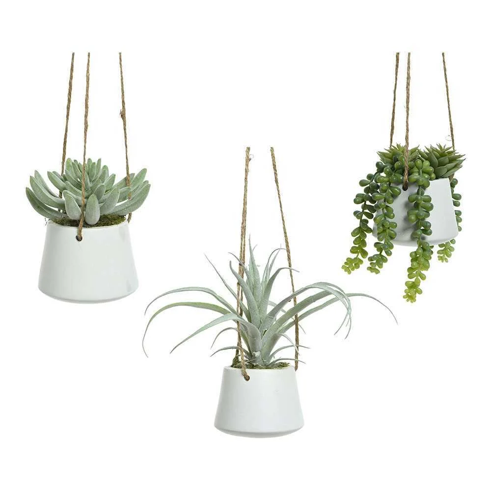 Planta Suculenta Artificial Modelos Sortidos