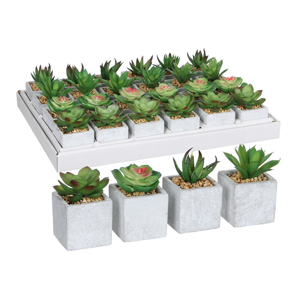 VASO VERDE COM SUCULENTA , 4 MODELOS DIFERENTES. PREÇO POR UNIDADE
