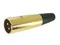 Ficha Xlr Macho 3p - Banhada a Ouro