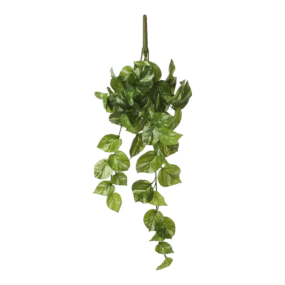 Potos Pendente Cor Verde 14x58x20cm