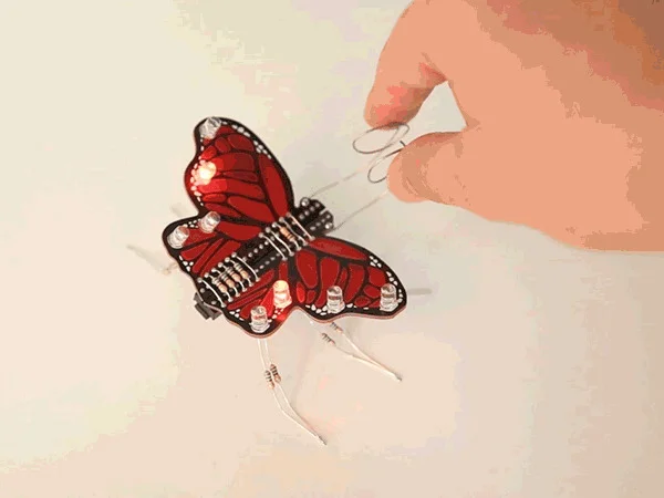 The Monarch
